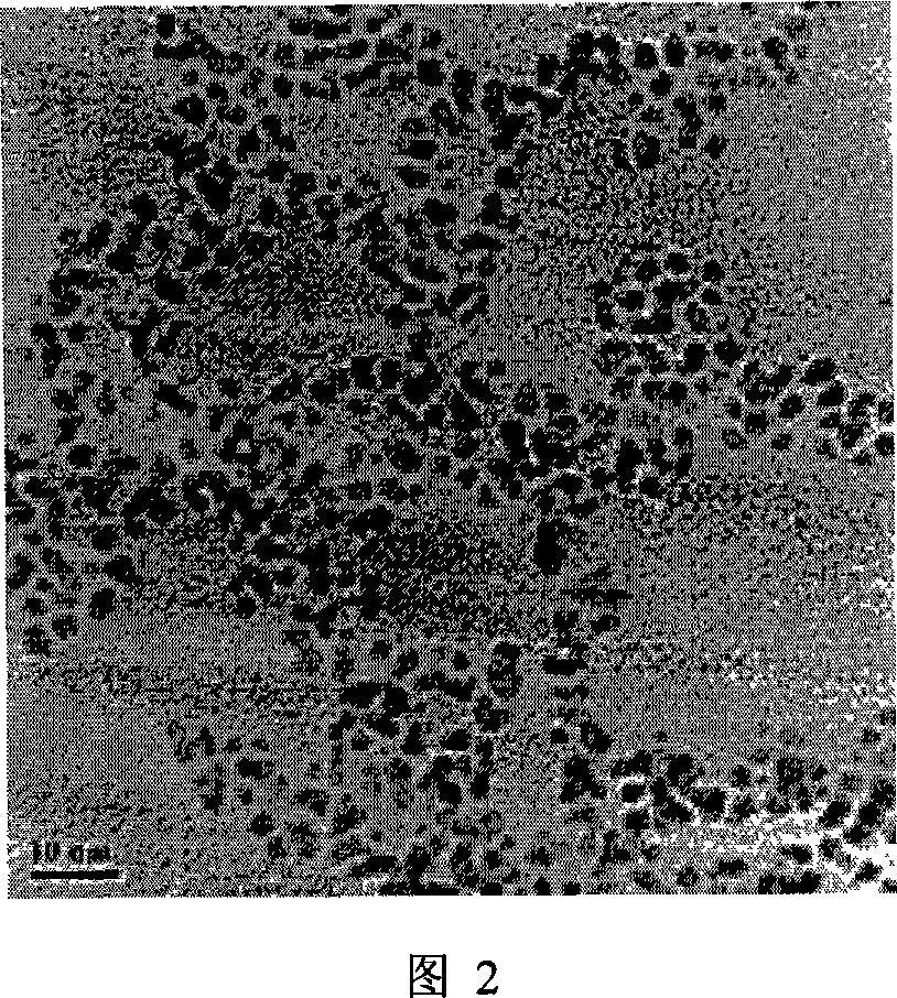 Composition of silicon dioxide - metal hud particles, and preparation method