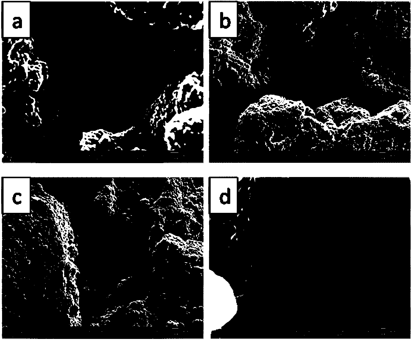 Preparation method of boron-doped diamond film electrode taking porous titanium as matrix