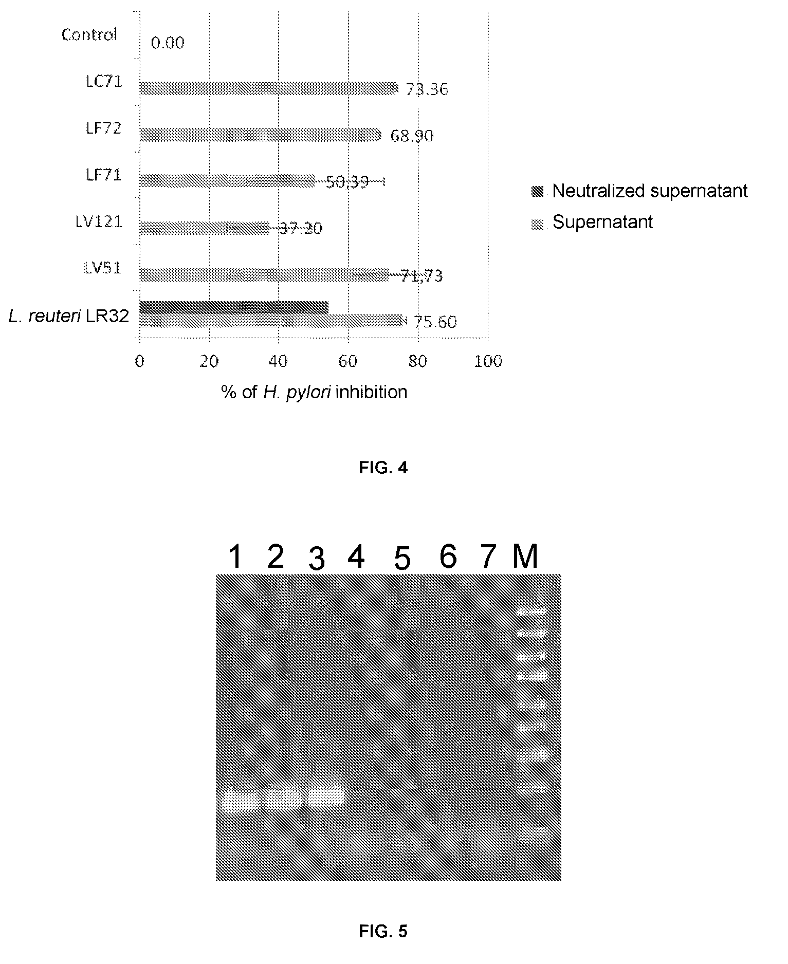 Probiotic Strain of Lactobacillus Reuteri Exhibiting Anti-Helicobacter Activity, a Probiotic or Biotherapeutic Product Comprising Said Strain, and the Use Thereof