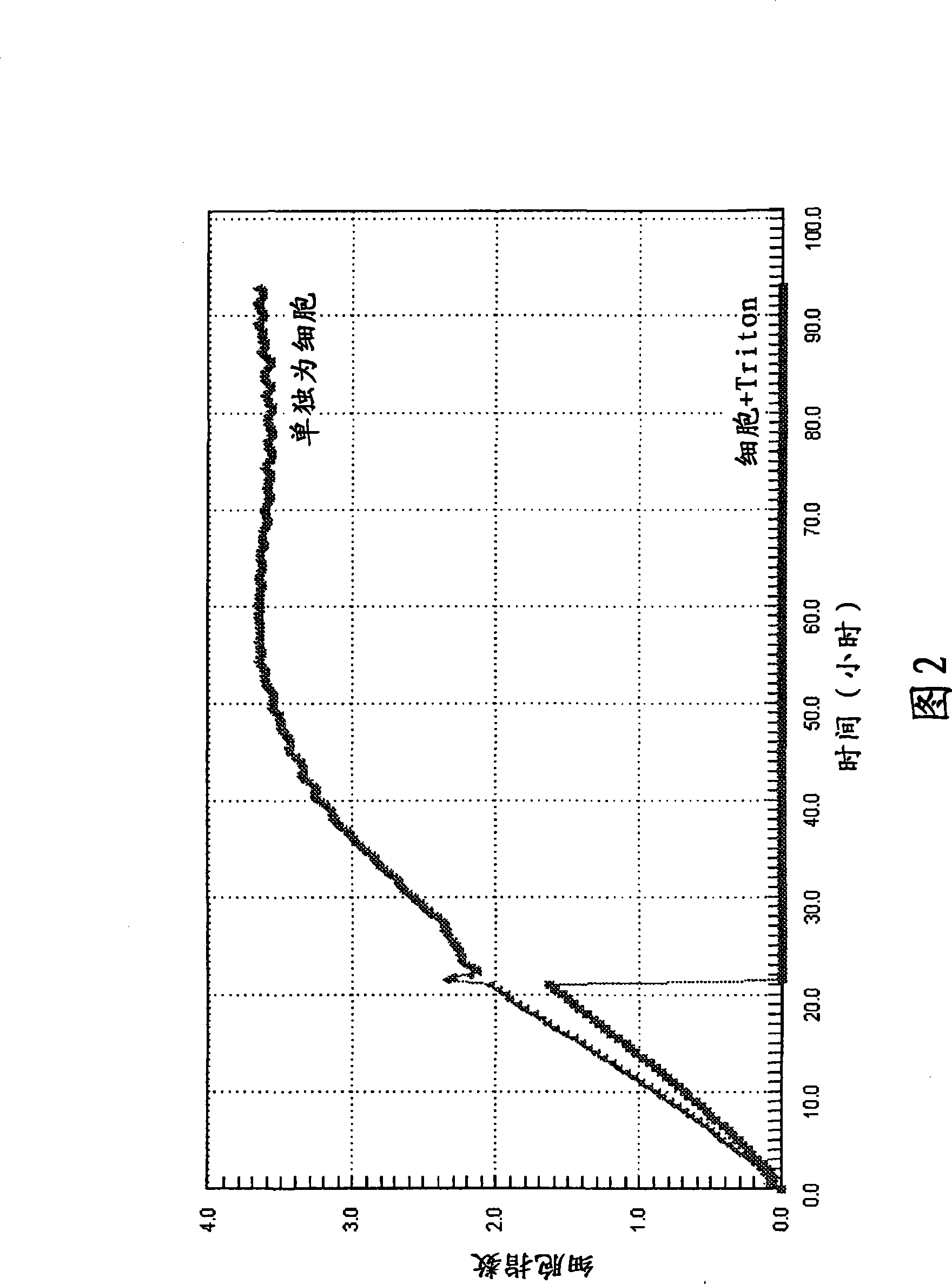 Antibody-dependent cellular cytotoxicity assay