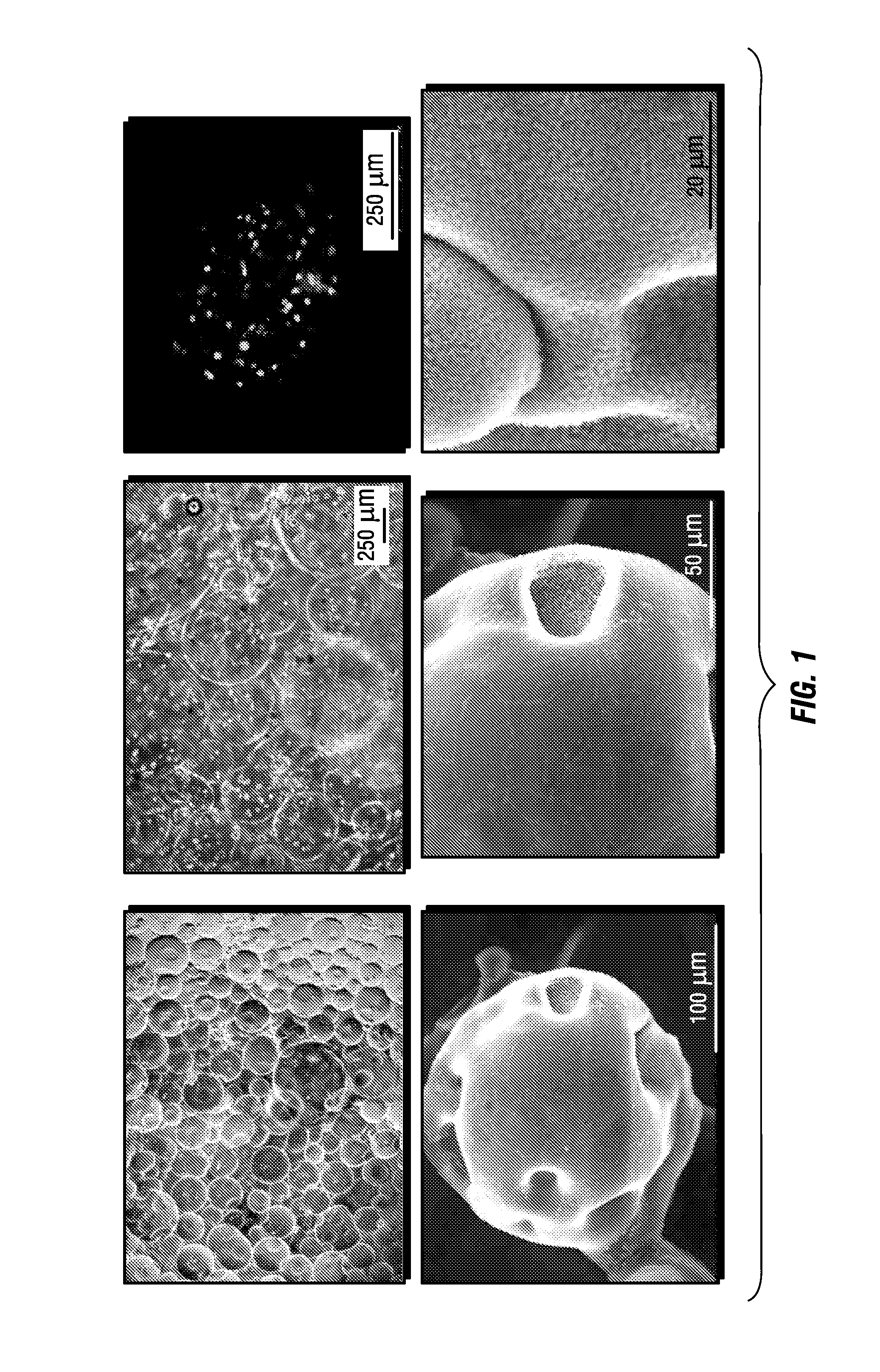 Biodegradable scaffolds