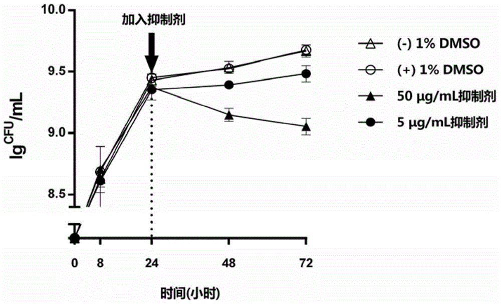 Application of oxazolone compound as streptococcus mutans biofilm inhibitor