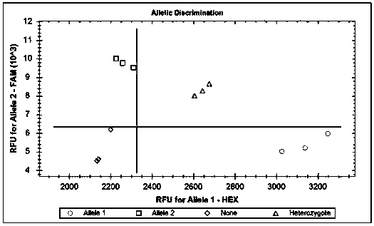 Linked KASP molecular markers for high temperature tolerance traits of rice and applications thereof