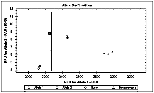 Linked KASP molecular markers for high temperature tolerance traits of rice and applications thereof