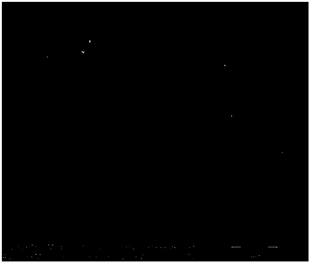 Preparation method of graphene oxide/nano cellulose/polyvinyl alcohol composite film