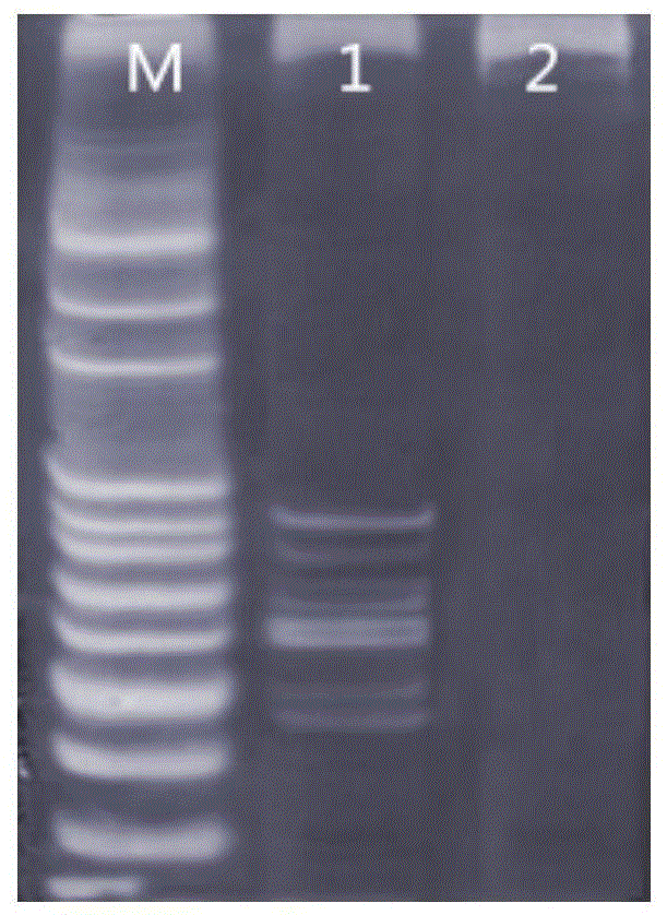 A kind of combined gene detection method and kit