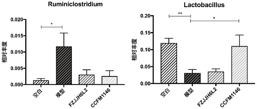 Lactobacillus rhamnosus capable of intervening in metabolic syndrome and application