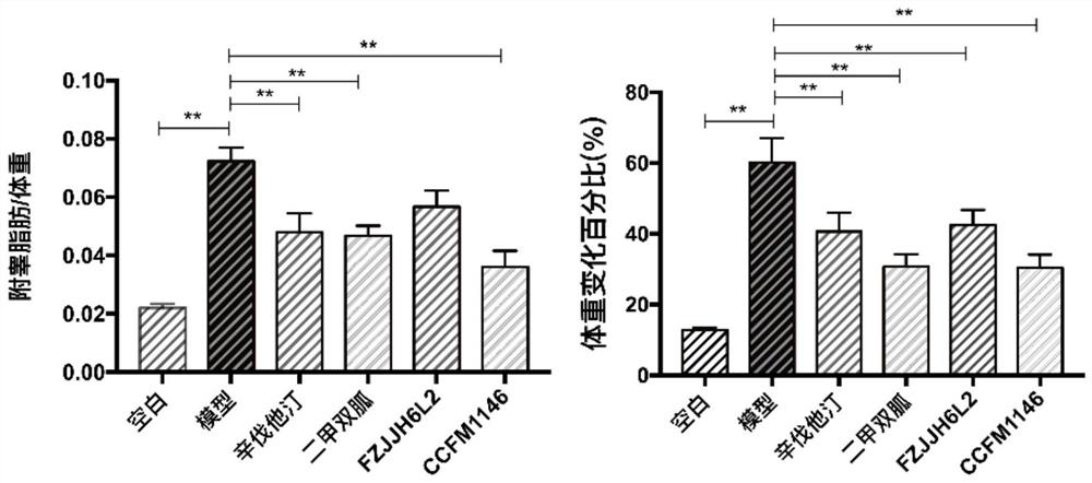 Lactobacillus rhamnosus capable of intervening in metabolic syndrome and application