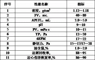 Formulation and preparation method of low pressure coefficient gas reservoir protection drilling fluid