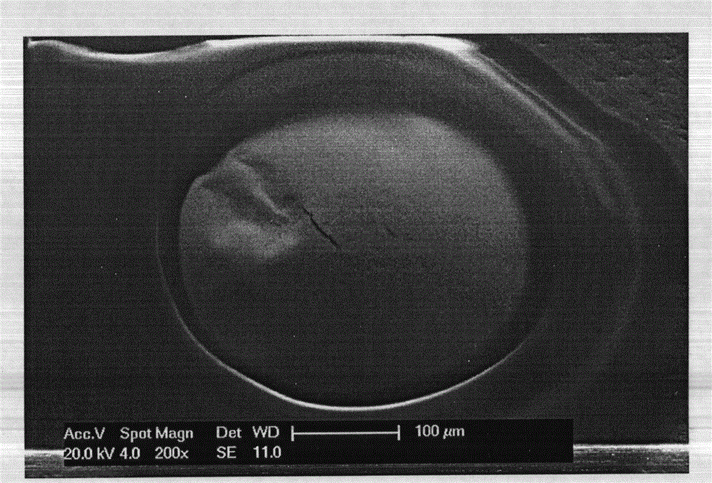 Clean-free solder paste low in ICT (in circuit testing) false positive rate