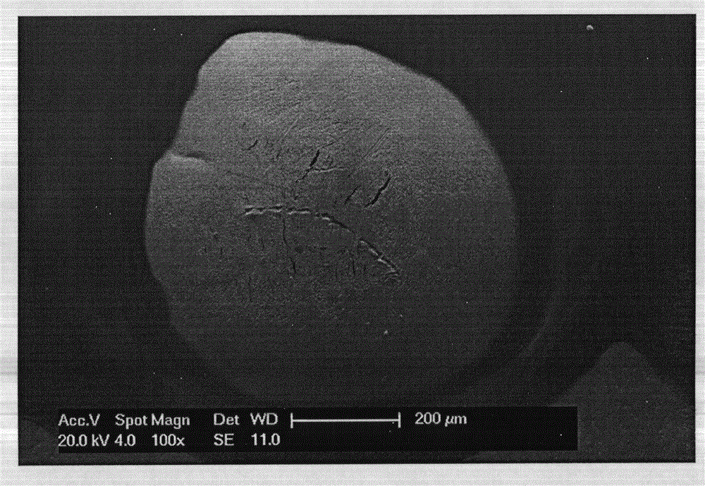 Clean-free solder paste low in ICT (in circuit testing) false positive rate