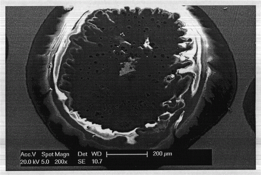 Clean-free solder paste low in ICT (in circuit testing) false positive rate