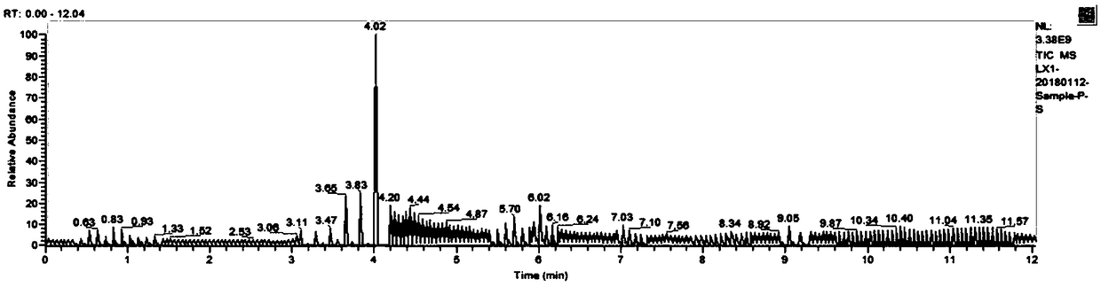 Application of chaenomeles speciosa lauric anhydride to preparation of anti-hypertensive MF (myocardial fibrosis) drug