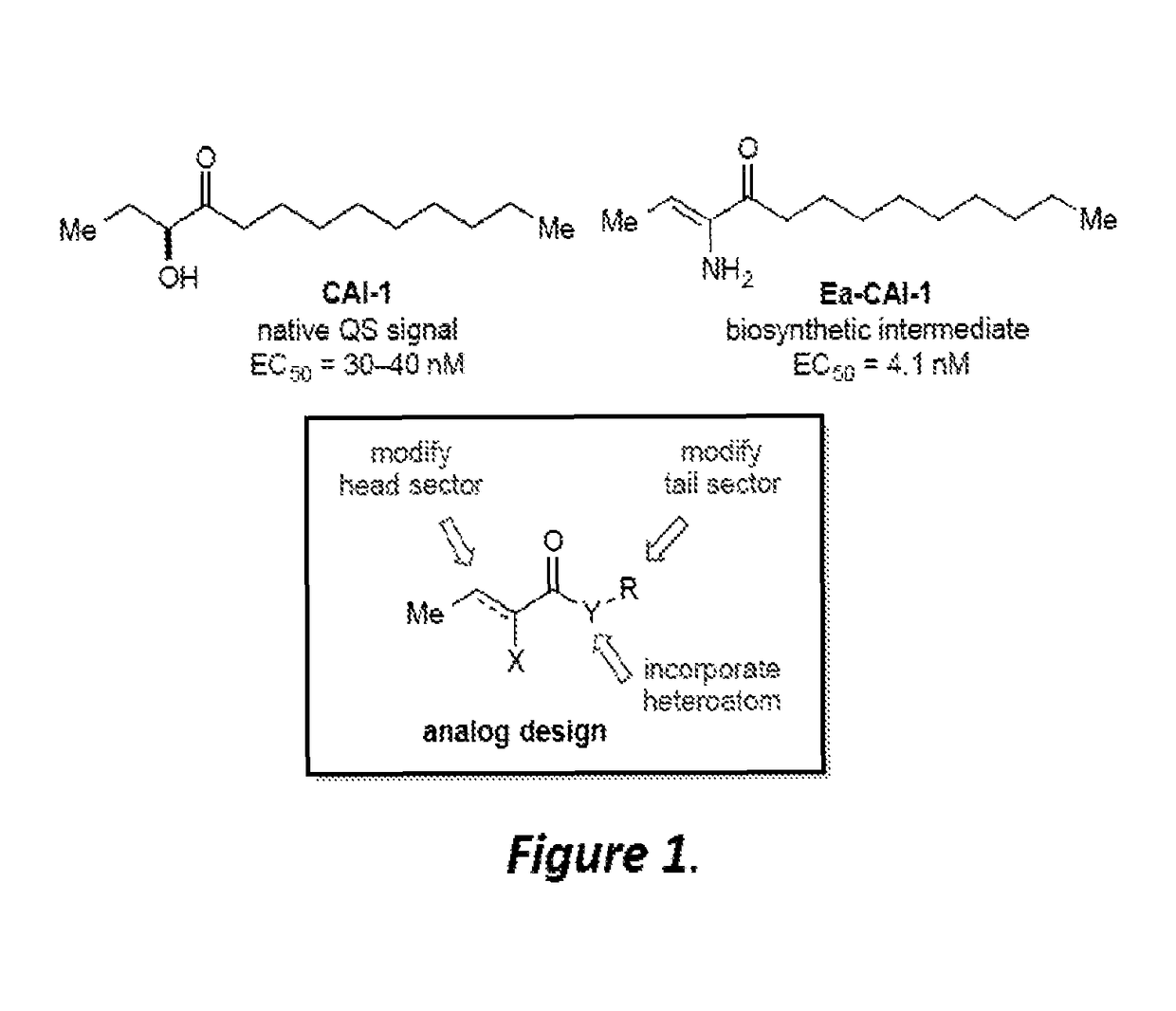 Heterocycle analogs of CAI-1 as agonists of quorum sensing in vibrio