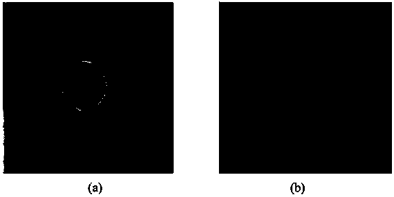 Phase microscope imaging method based on SHWS (Shack-Hartmann Wavefront Sensor)