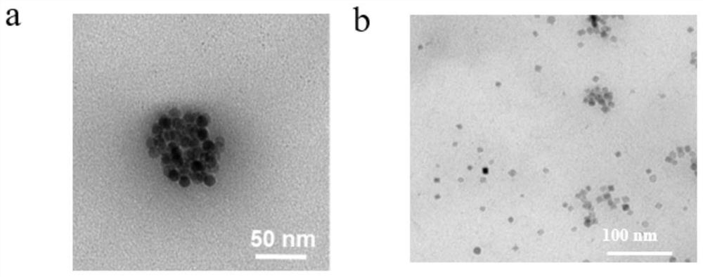 pH-responsive T1-T2 double-activated nanoprobe as well as preparation method and application thereof