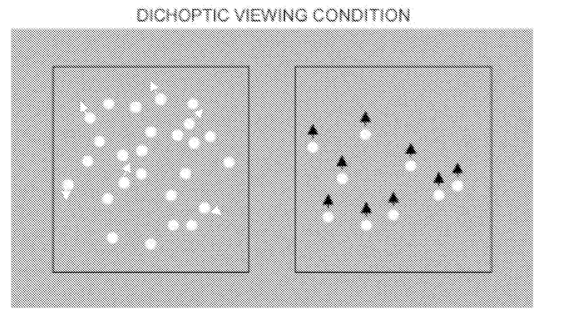 Binocular vision assessment and/or therapy