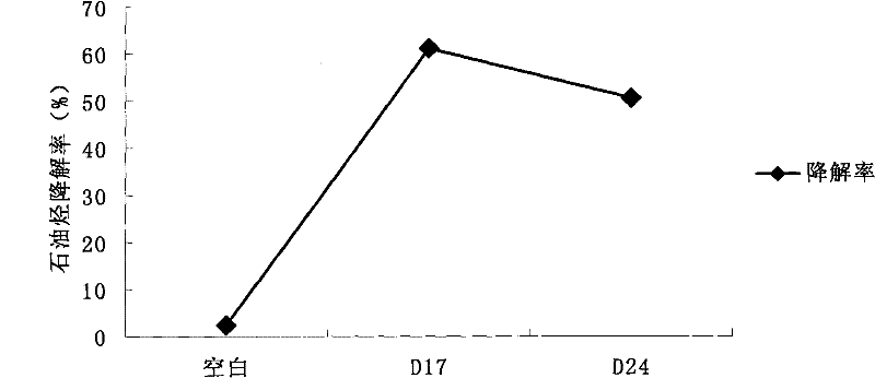 Low-temperature-resistant petroleum degradation strains as well as culture method, culture medium and application thereof