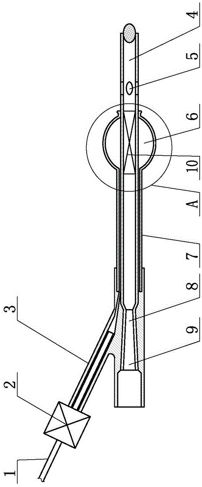 Anus administration device