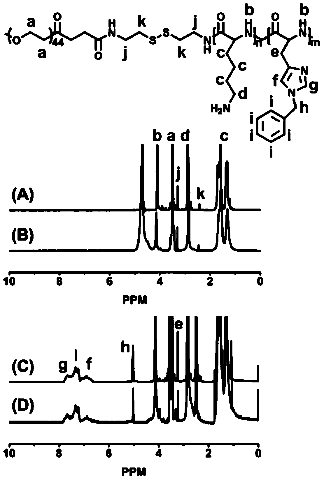 Cationic polymer nanomaterial gene carrier and its preparation method and application