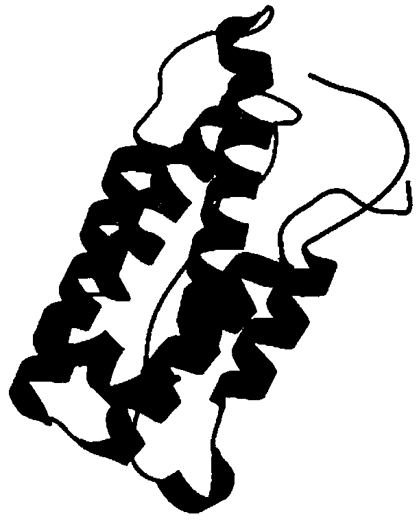 Cat interferon omega, and coding gene and antiviral application thereof