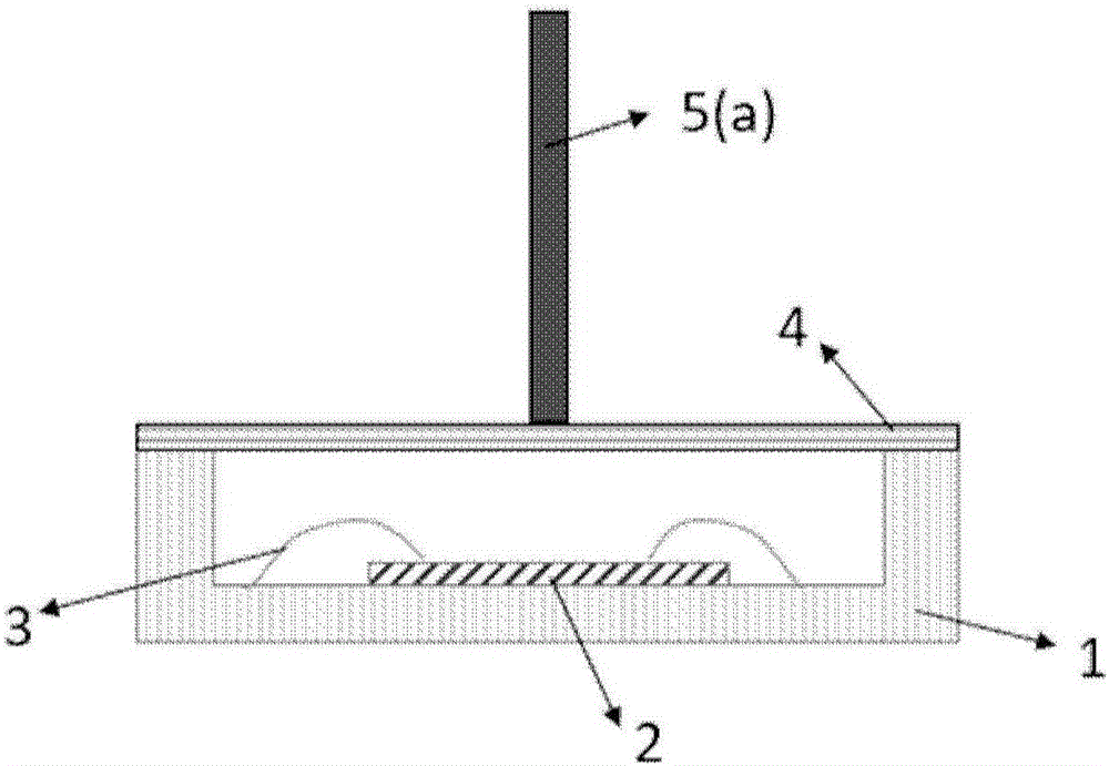 Electrode type electric field sensor packaging component and application thereof