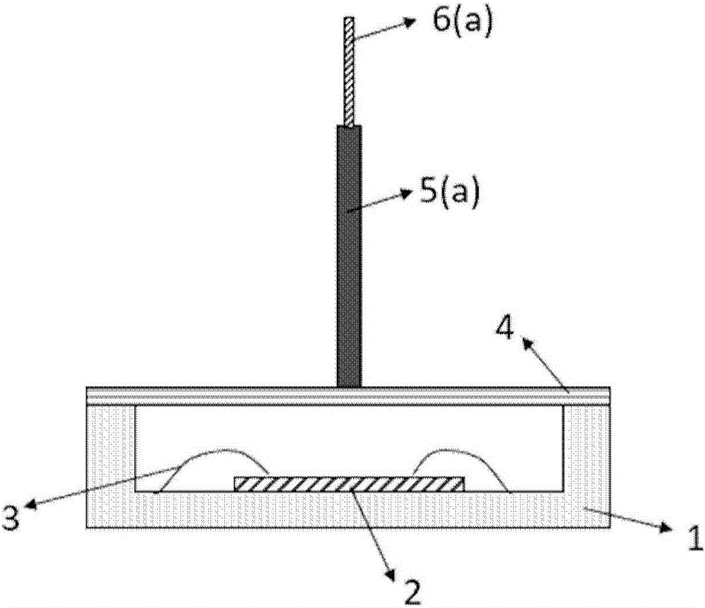 Electrode type electric field sensor packaging component and application thereof