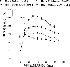 Anti-opioid peptide antagonist peptide and application thereof