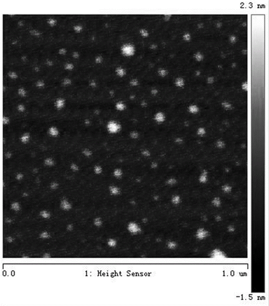 Fluorescence silicon nanoparticle-based ratio type temperature sensor, and preparation method and application thereof