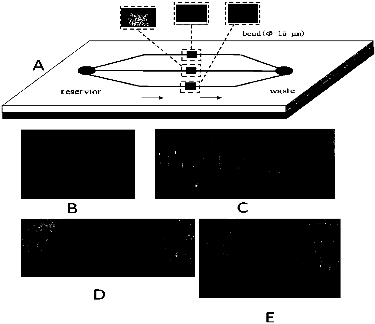 Kit for detecting circulating nucleic acid based on micro-fluidic chip and G-quadruplex-protoheme DNA enzyme, and preparation method and application of kit