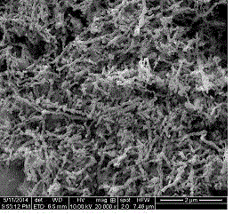 Method for treating organic wastewater based on polyaniline loaded nanoscale zero-valent iron