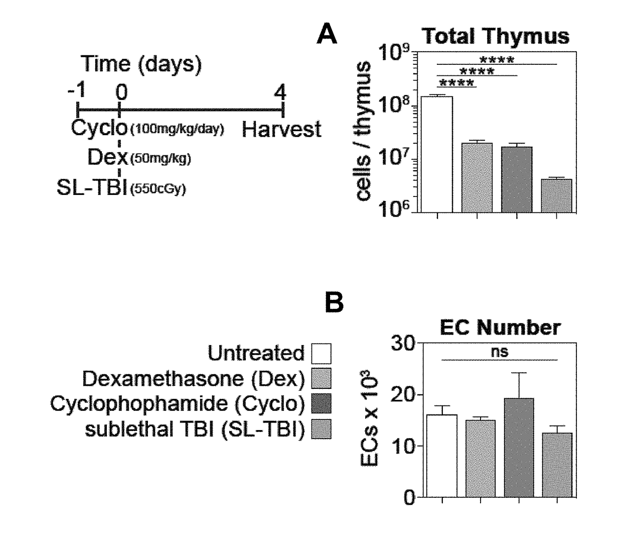 Use of bmp4 for thymic regeneration