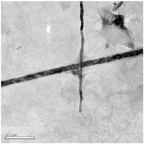 A kind of biodegradable polymer composite material and preparation method thereof