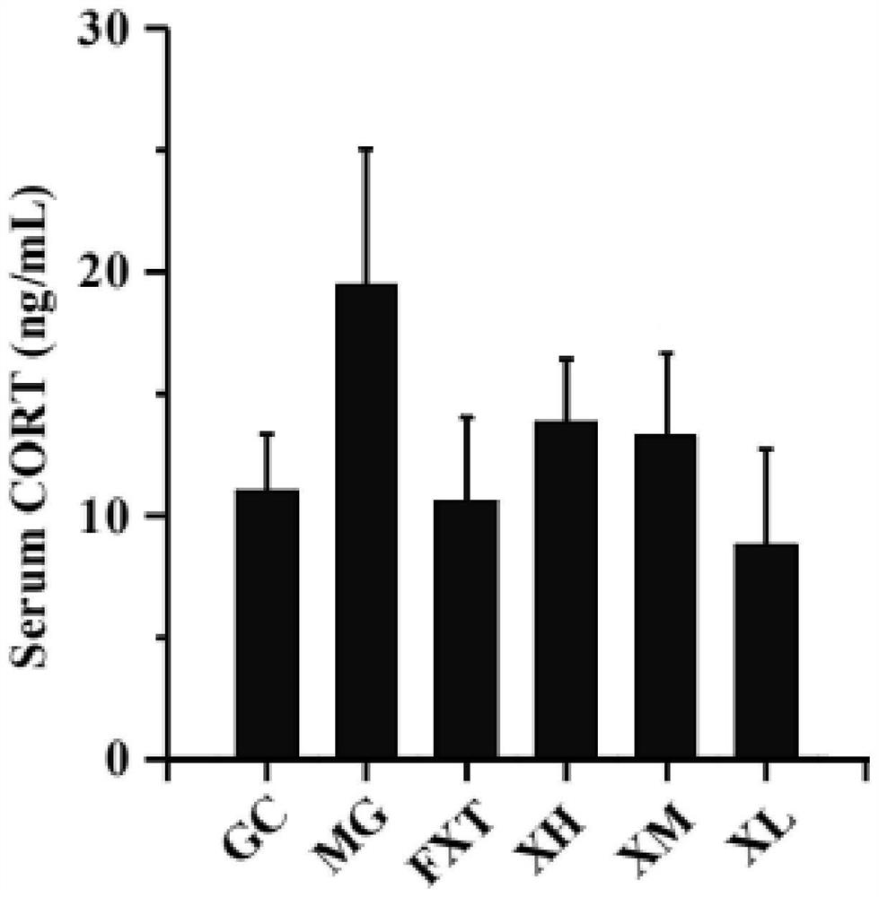 Application of a kind of sweet leaf or tuber extract in the preparation of antidepressant medicine