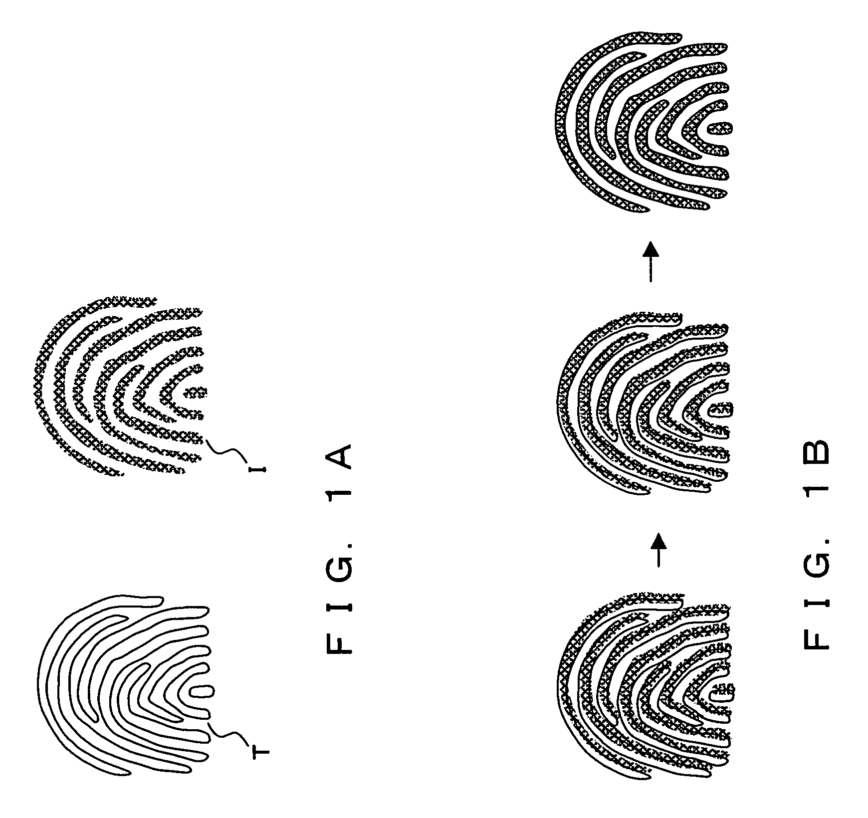 Image matching apparatus, image matching method, and image matching program