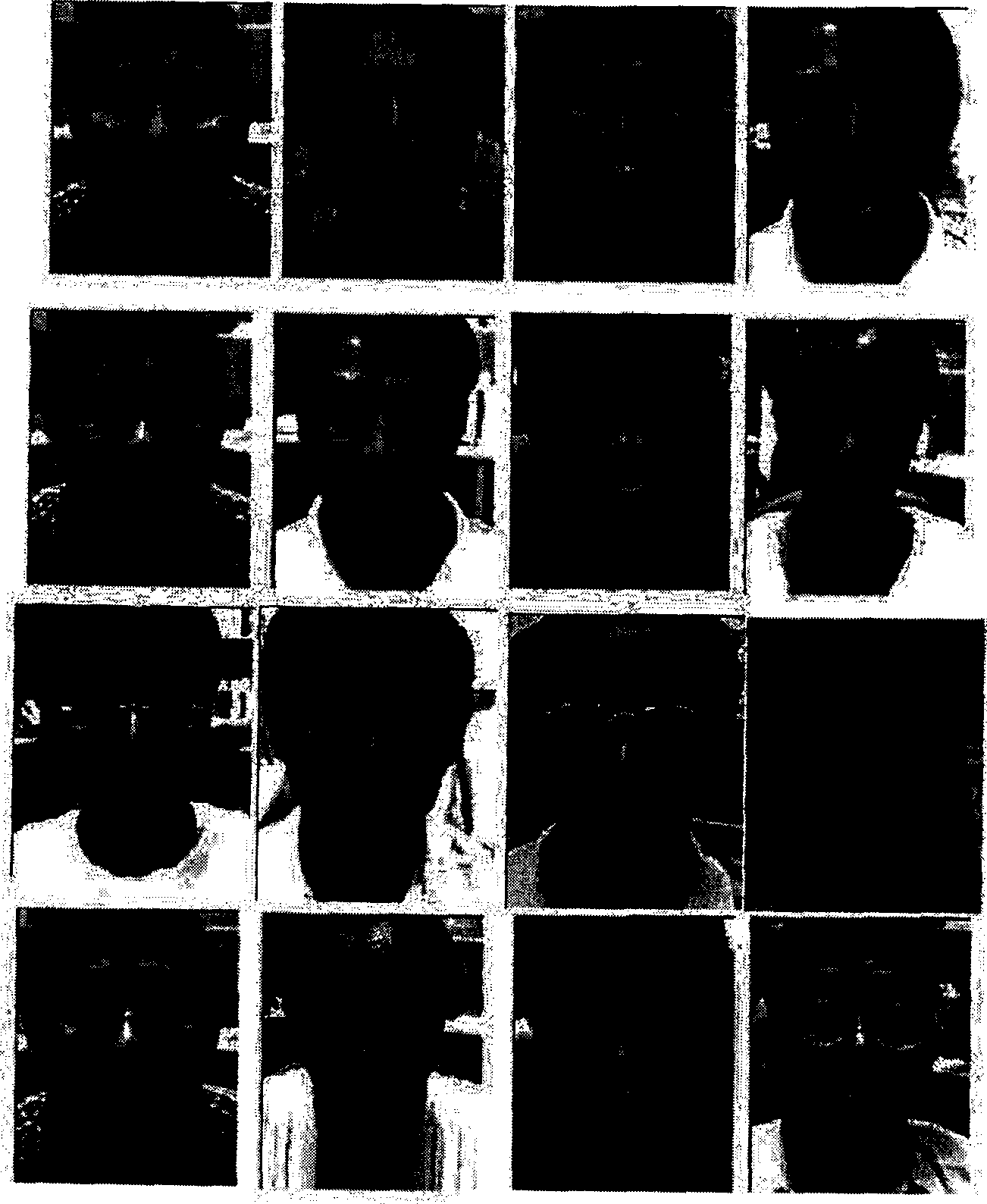 Method and device for distinguishing face expression based on video frequency