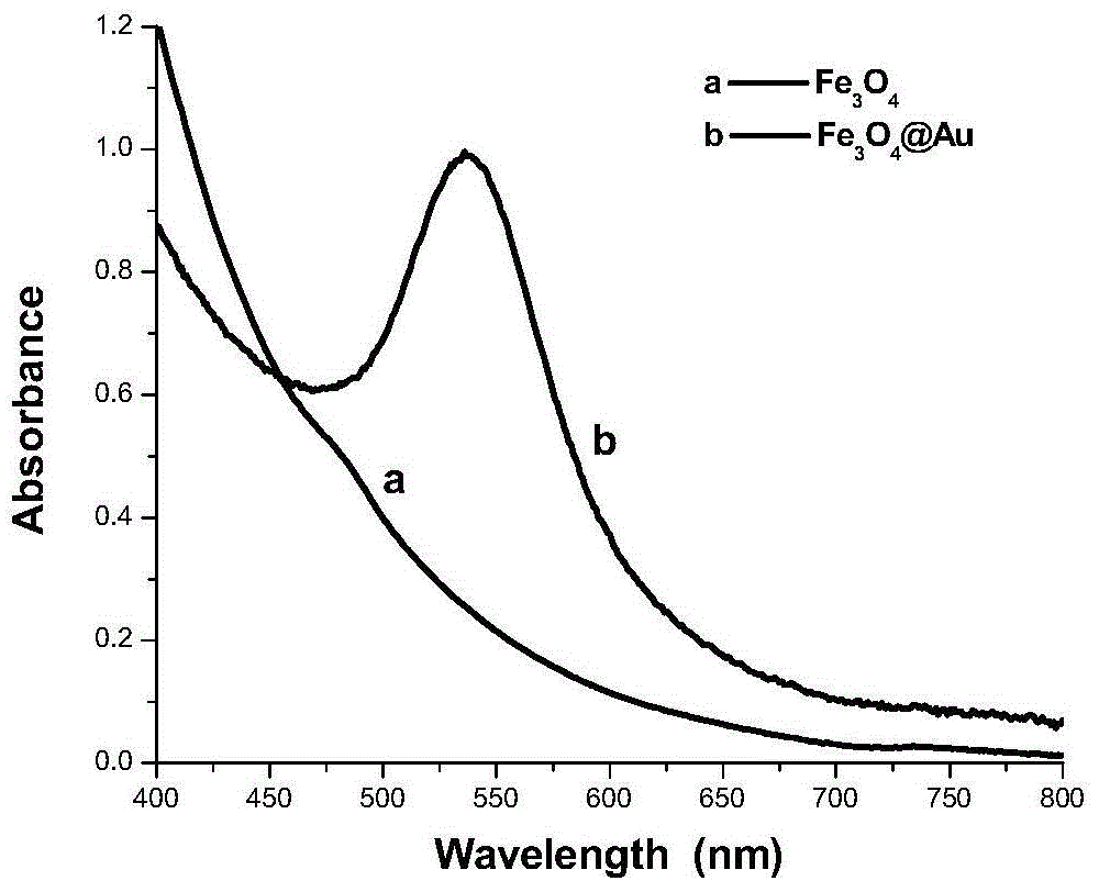 A kind of preparation method of gold magnetic particles