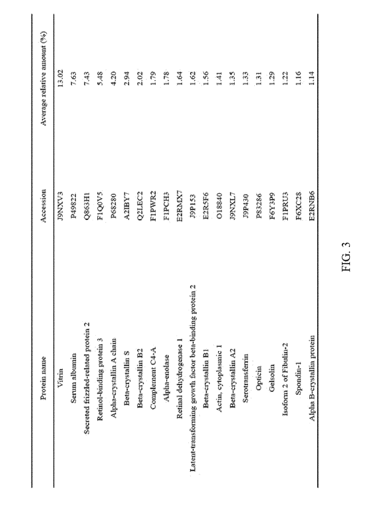 Composition for inhibiting angiogenesis comprising nanoparticle-vitreous body-based protein complex as active ingredient, and use thereof