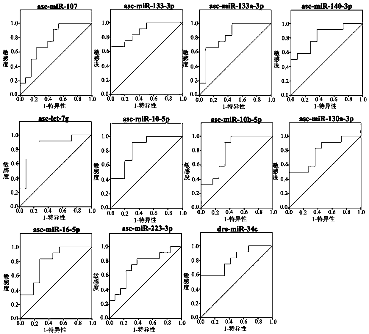 MicroRNA serum marker, primer set, kit and application for identifying sex of sturgeon