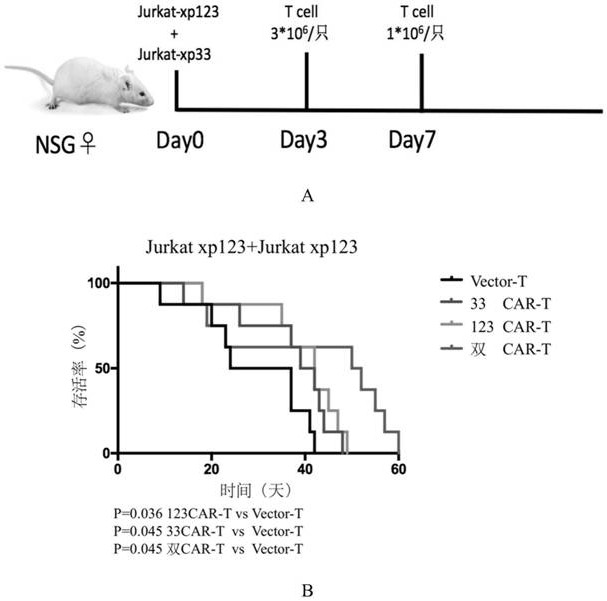 CD123-targeted chimeric antigen receptors and dual-target chimeric antigen receptors containing CD123-targeted chimeric antigen receptors