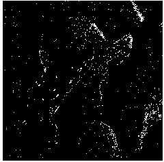 Snow noise removing algorithm free of reference detection