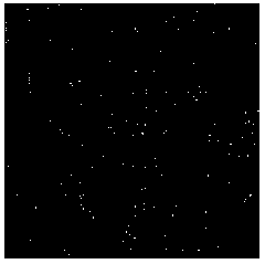 Snow noise removing algorithm free of reference detection