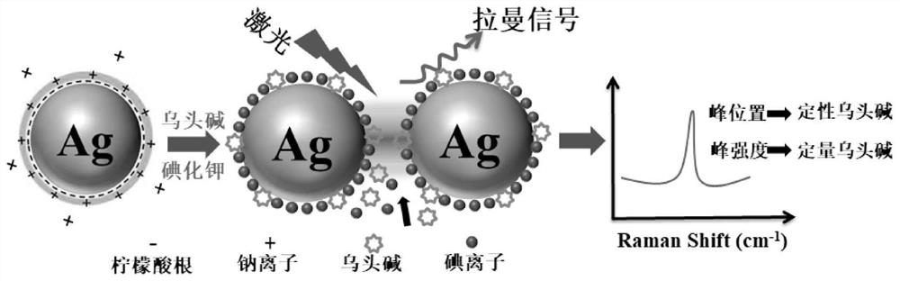 Qualitative and quantitative detection method of aconitine phytotoxin