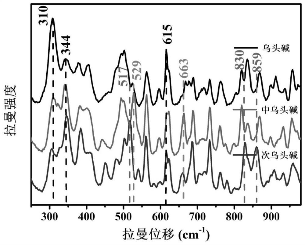 Qualitative and quantitative detection method of aconitine phytotoxin