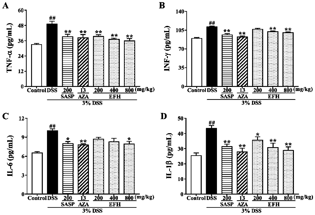 Application of silver leaf tree fruit in preparing drug for treating ulcerative colitis