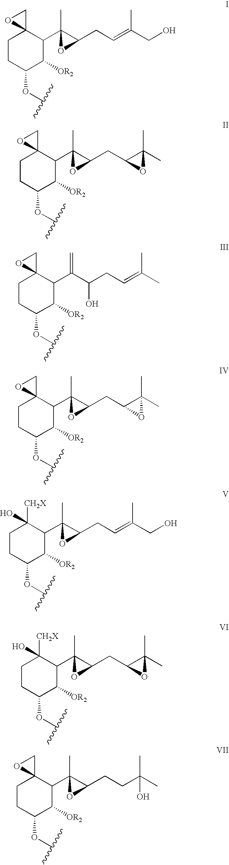 Inhibitors of methionine aminopeptidase-2 and uses thereof