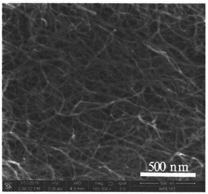 Stratified electromagnetic shielding material containing carbon nanotube network resin base, and preparation method thereof