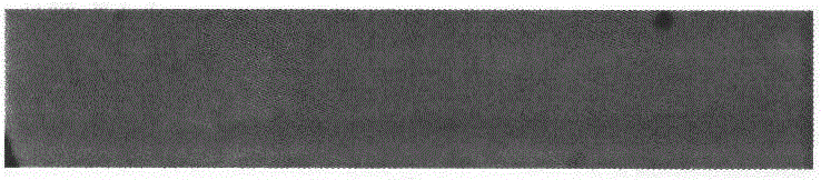 Stratified electromagnetic shielding material containing carbon nanotube network resin base, and preparation method thereof