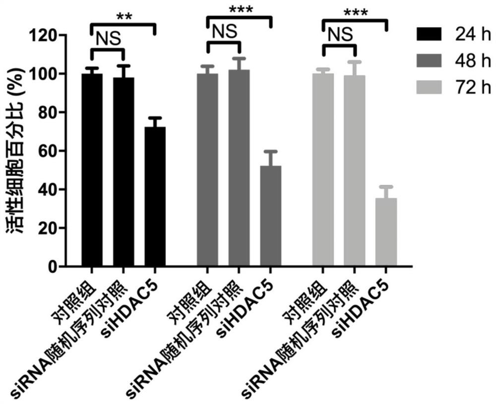 Use of the siRNA molecular composition in the preparation of medicines targeting hdac5 to inhibit scar formation