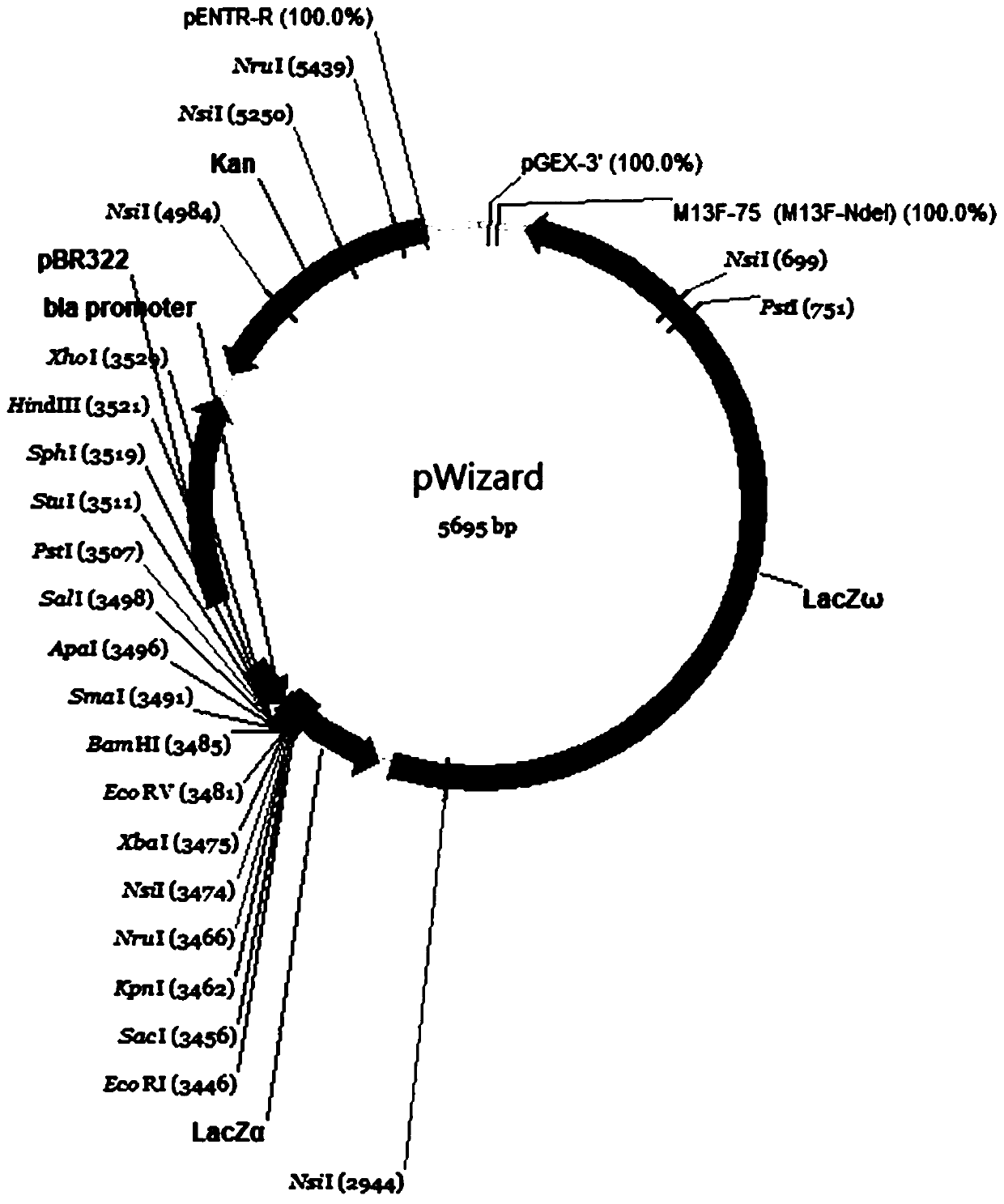 Gene expression component, constructed cloning vector and application